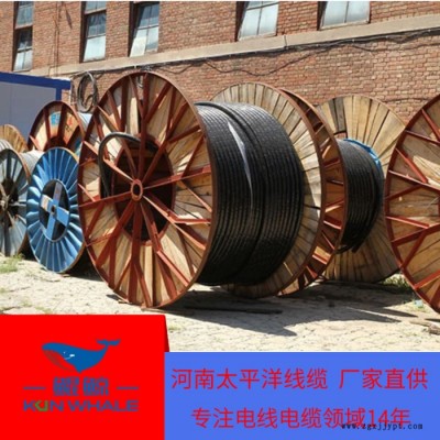 聚氯乙烯阻燃絕緣電線 VV電力電纜 阻燃電纜現貨