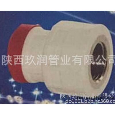 玖潤管業——德標牌PP-R內螺紋直通