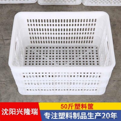 本溪3斤塑料筐價格,鏤空塑料周轉箱-沈陽興隆瑞
