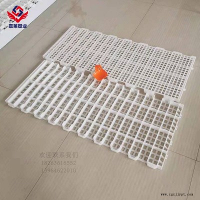 山東鵝塑料漏糞板廠家塑料漏糞板雞用塑料漏糞板雞鴨鵝通用漏糞板批發