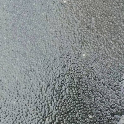 寧波貴宏l服務(wù)周到(圖)-厭氧污泥價格-安徽厭氧污泥