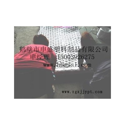 再生塑料網 阻燃塑料網 煤礦井下塑料雙抗網